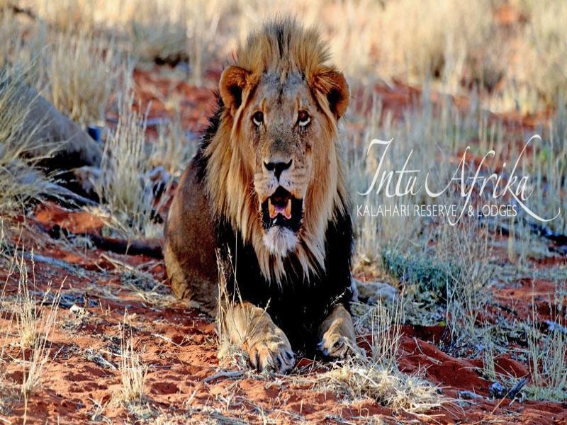 Camelthorn Kalahari Lodge Hoachanas 외부 사진